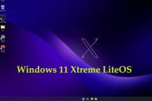 windows 11 extreme liteOS screenshot 1
